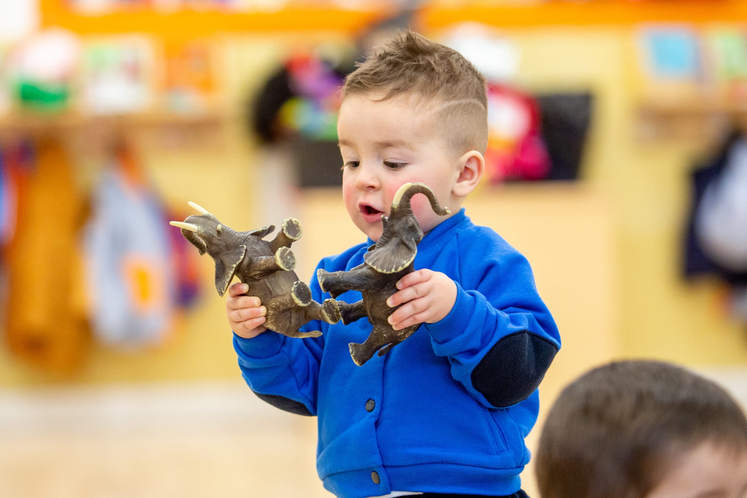 Nuestro proyecto Educativo