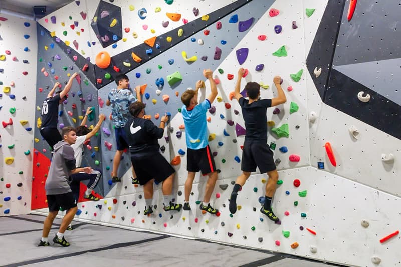 Formación Profesional